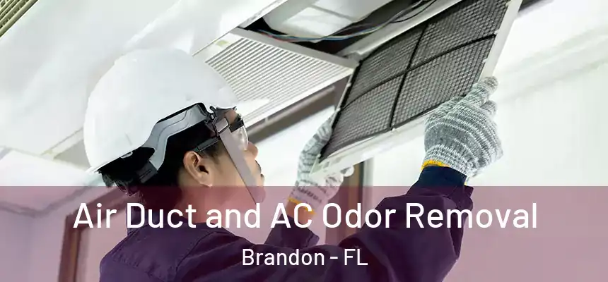 Air Duct and AC Odor Removal Brandon - FL