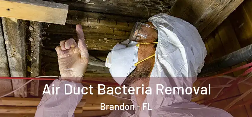 Air Duct Bacteria Removal Brandon - FL