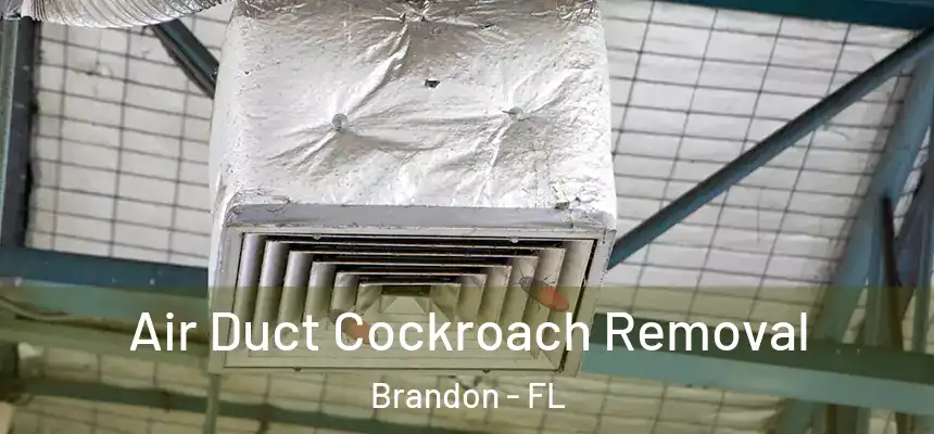 Air Duct Cockroach Removal Brandon - FL