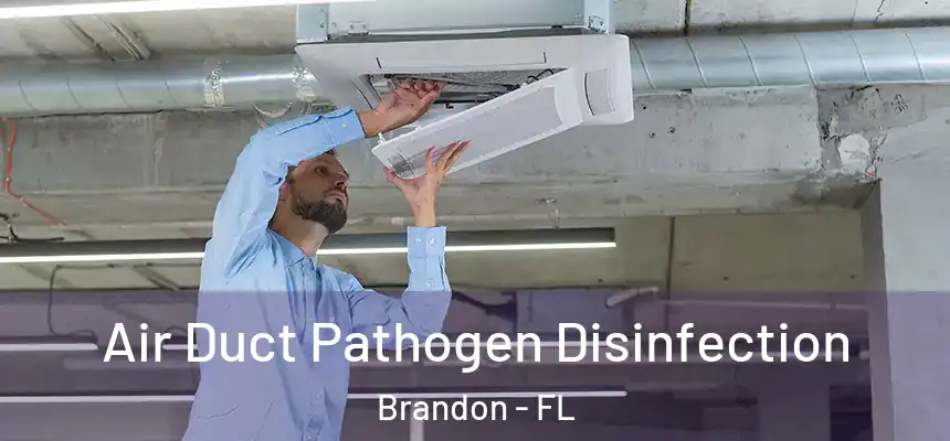 Air Duct Pathogen Disinfection Brandon - FL