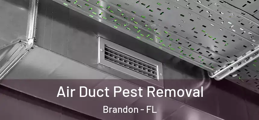 Air Duct Pest Removal Brandon - FL