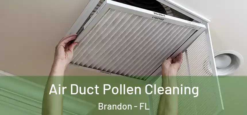 Air Duct Pollen Cleaning Brandon - FL