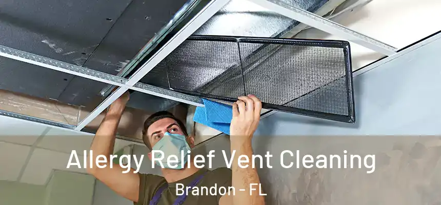 Allergy Relief Vent Cleaning Brandon - FL