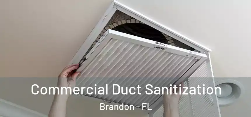 Commercial Duct Sanitization Brandon - FL