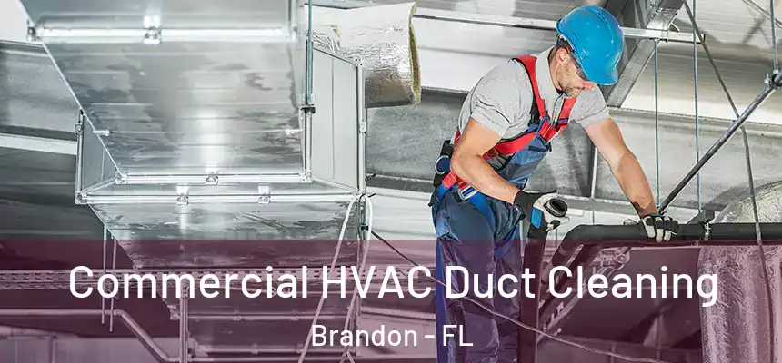 Commercial HVAC Duct Cleaning Brandon - FL