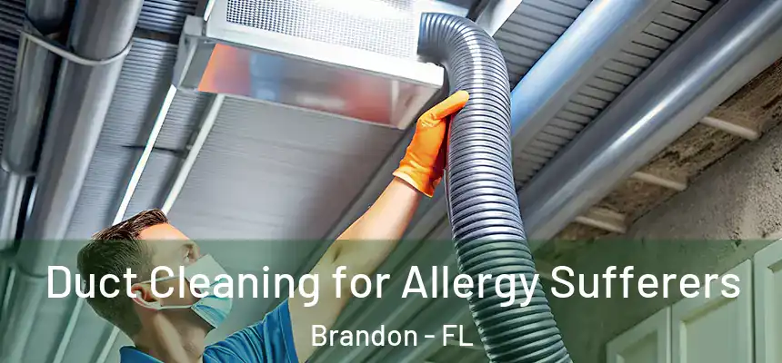 Duct Cleaning for Allergy Sufferers Brandon - FL