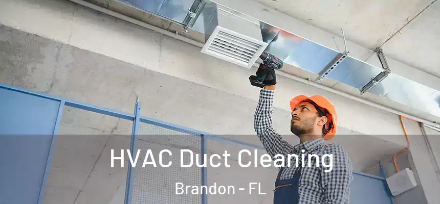 HVAC Duct Cleaning Brandon - FL