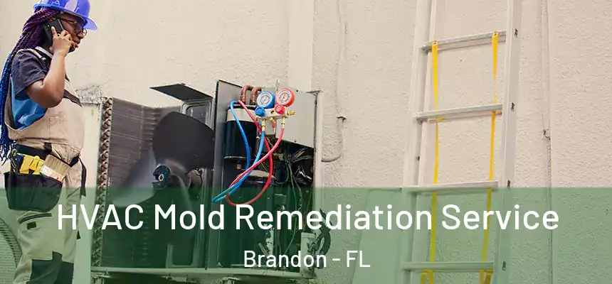 HVAC Mold Remediation Service Brandon - FL