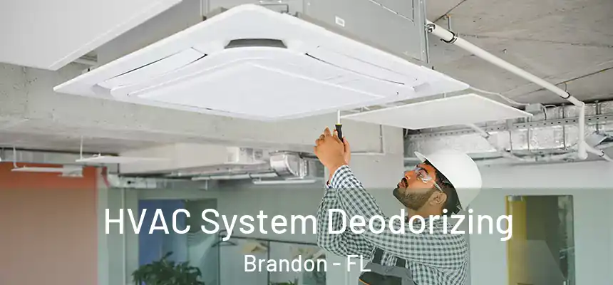HVAC System Deodorizing Brandon - FL