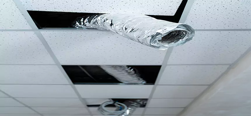 Affordable HVAC Sanitizing After Pest Removal in Brandon