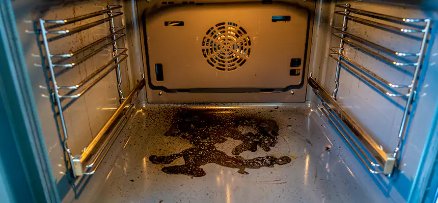 Our Air Purifier Installation Services in Brandon, FL