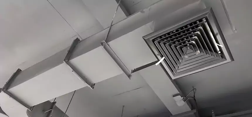 Restorative Allergy Relief Vent Cleaning – Coil, Blower & Housing Detail in Brandon