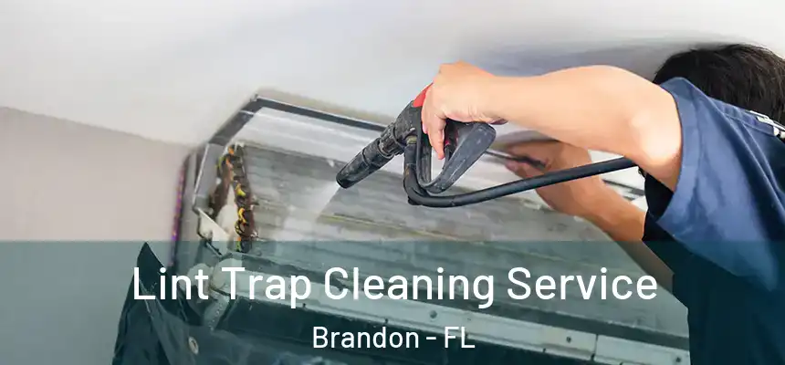 Lint Trap Cleaning Service Brandon - FL