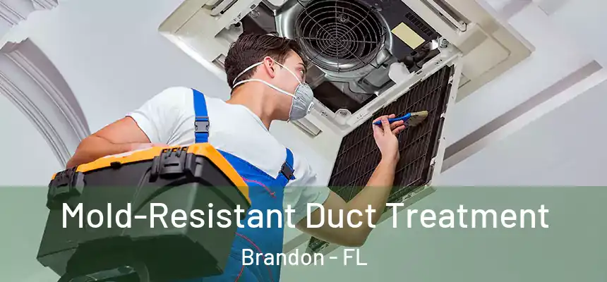 Mold-Resistant Duct Treatment Brandon - FL