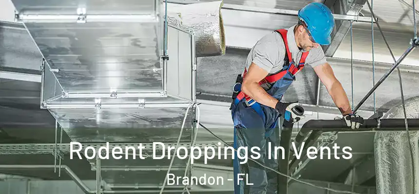 Rodent Droppings In Vents Brandon - FL