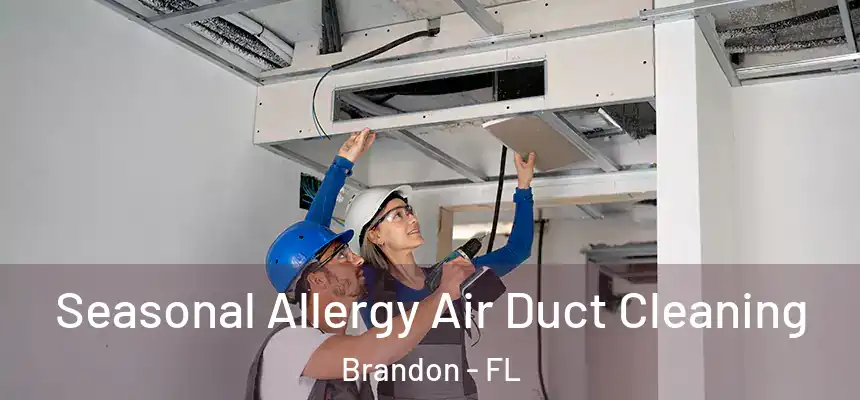 Seasonal Allergy Air Duct Cleaning Brandon - FL