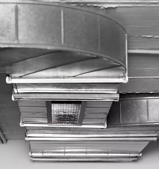 Professional Air Duct Pet Hair Removal in Brandon, FL