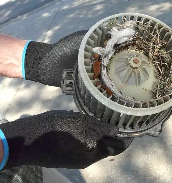 About Air Duct Rat Removal in Brandon, FL