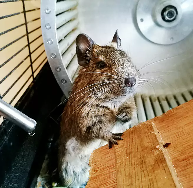 Why Homeowners & Businesses Trust Us Brandon, FL