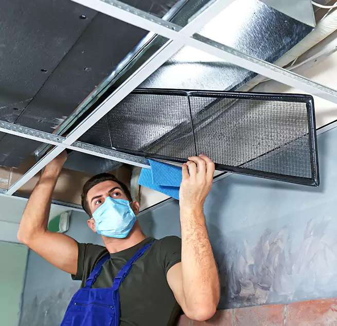 Why Homeowners Businesses Trust Us in Brandon, FL?