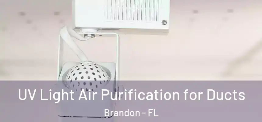 UV Light Air Purification for Ducts Brandon - FL